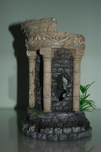 Splendido acquario dettagliato - splendido,