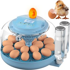 Incubatrice per Uova