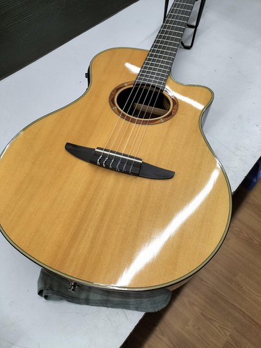Chitarra acustica elettrica