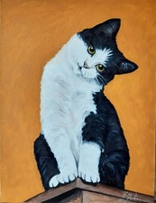 Quadro gatto bianco e nero