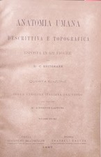 Anatomia umana descrittiva e