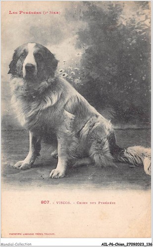 Ailp6 0579 cane viscos - -,