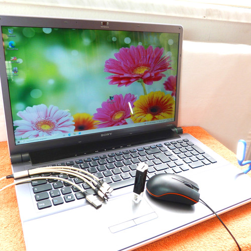 Sony vaio aw21 pollici hdp - aw21, 18