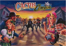 Bally cactus canyon flipper - canyon,