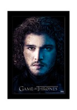 Stampa Incorniciata Di Jon