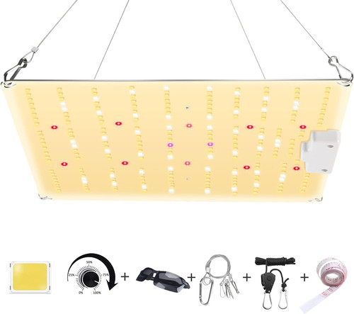 800w lampada per - lampada,