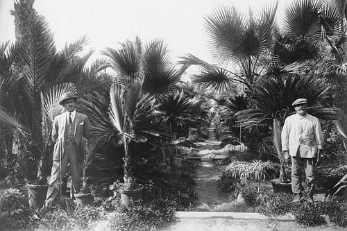 Palm garden bagnoli naples - bagnoli,