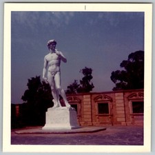 Statua David di Michelangelo