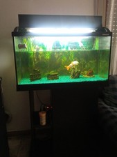 Acquario 80 litri,compreso di mobiletto.