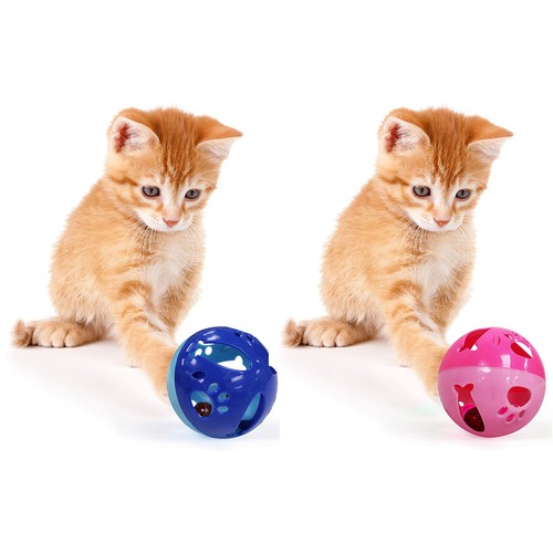 Pets first large cat - pets,
