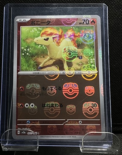 Ponyta - ball,