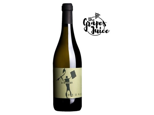Bruna baccan 2020 - baccan, vino