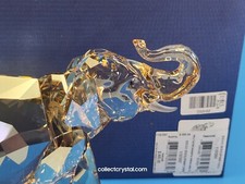 Swarovski SCS 2013 giovane