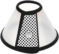 Forma Cono per Cane E Gatto