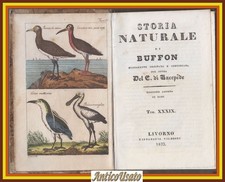 UCCELLI Storia Naturale di