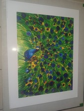 Poster vintage original - poster,