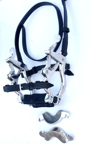 Bavaglio bocca cavallo dentale