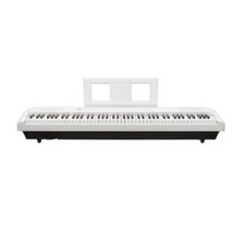 Echord digital piano 88 - dp-1w,