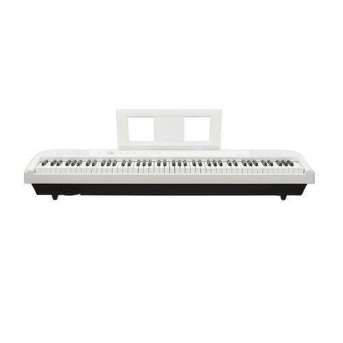 Echord digital piano 88 - echord, dp-1w