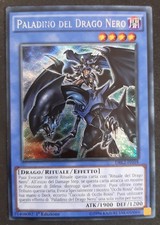 PALADINO DEL DRAGO NERO Rara