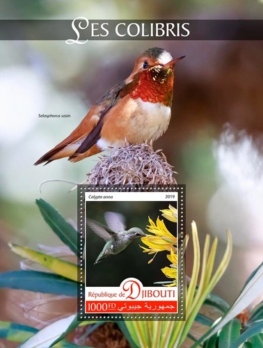 Francobolli colibrì colibri - colibrì,