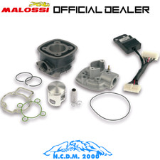3112044 gruppo termico malossi - gruppo,