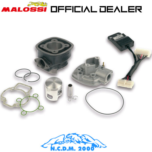 3112044 gruppo termico malossi - gruppo,
