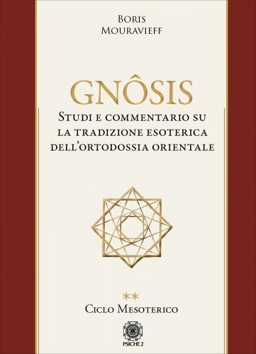 Libro gnôsis tradizione - libro,