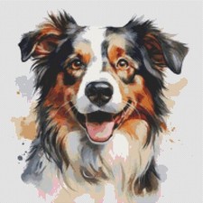 Pastore australiano cucciolo