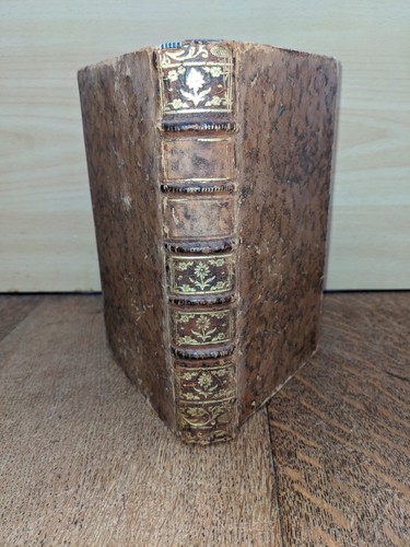Libro antico haen - libro, haen-ratio