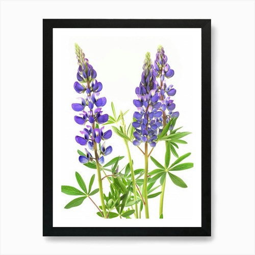 Stampa artistica fiori - , di