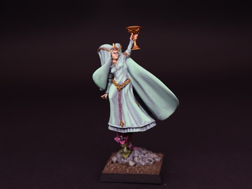 Ancella della signora - ancella,