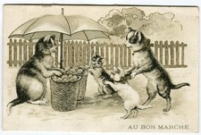 Quadri lucidi cialde