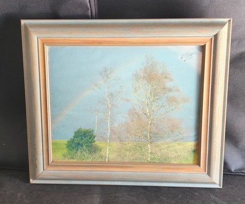 Arcobaleno tra gli alberi