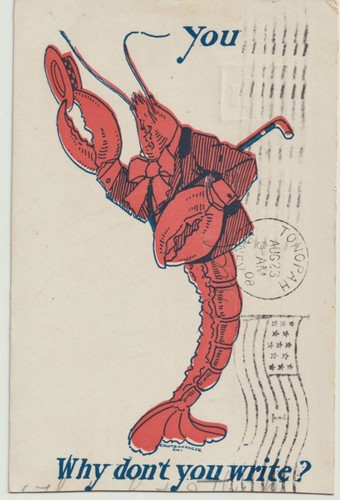 Edwardian humour postcard - humour,