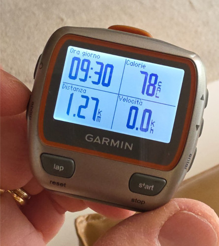 Garmin 310xt professional - 310xt,