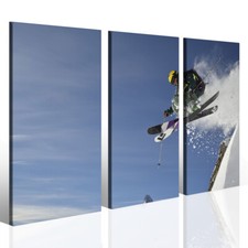 Stampa Su Tela - Sci Montagna