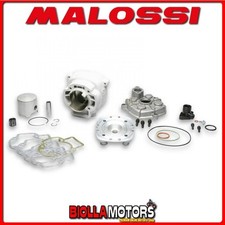 3113030 GRUPPO TERMICO MALOSSI