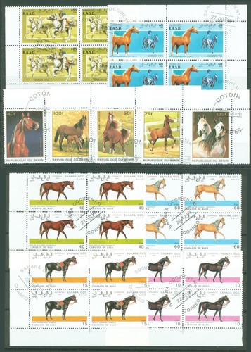 Fauna n91 cavalli - n91,