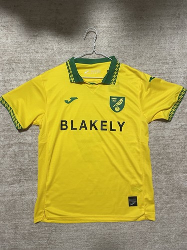 Maglia norwich city - maglia,