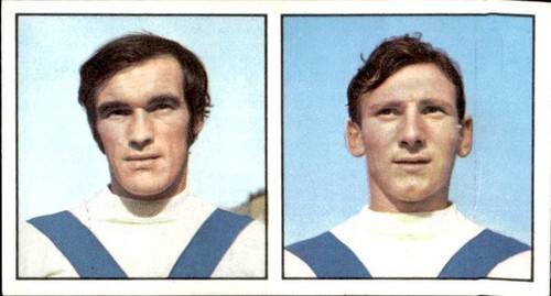 Figurina calciatori panini - figurina,
