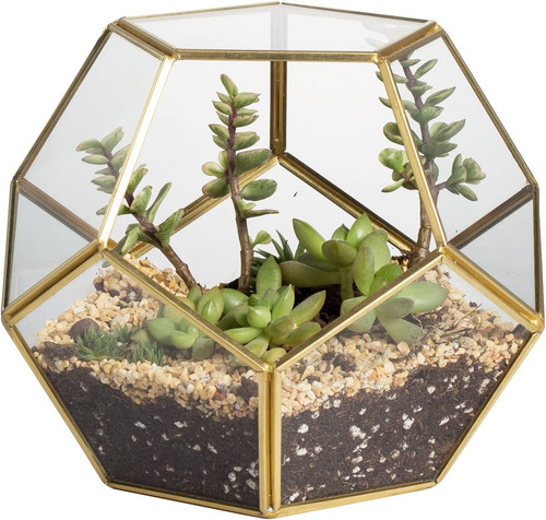 Terrario geometrico per