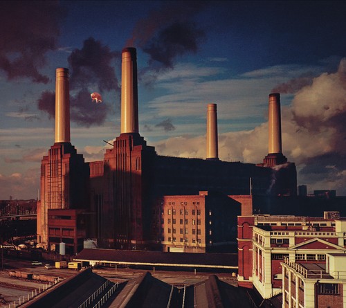 Pink floyd animals - pink,
