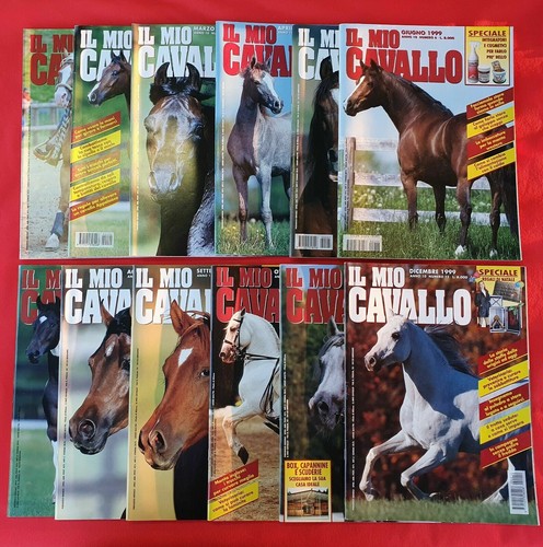 Mio cavallo magazine anno - -,