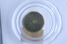 Rolex 3135-305 Rochet Ratchet