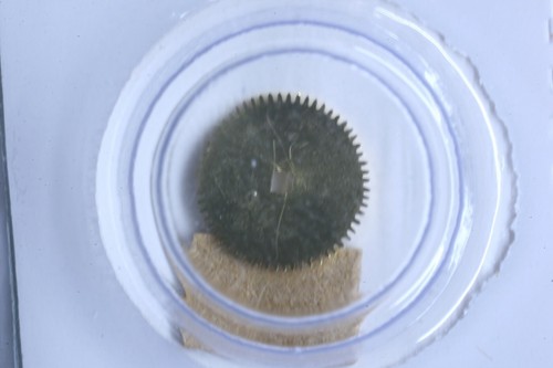 Rolex 3135 305 rochet - 3135-305, ratchet