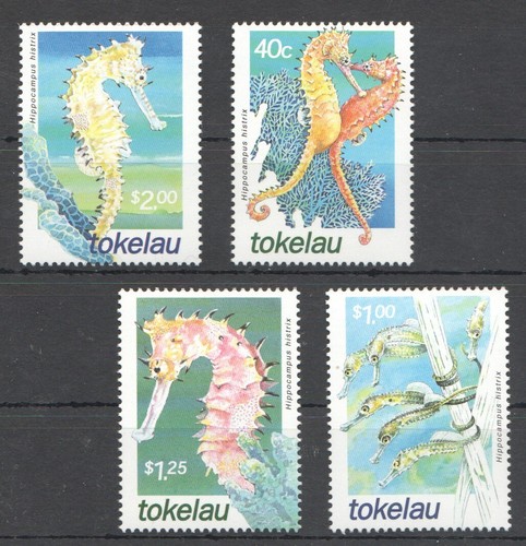 A0541 2001 tokelau cavalli - a0541,