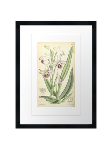 Quadro stampa poster - , arte