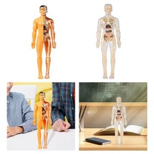 Apprendimento del modello di