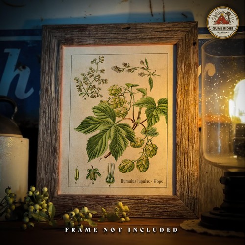 Stampa artistica pianta